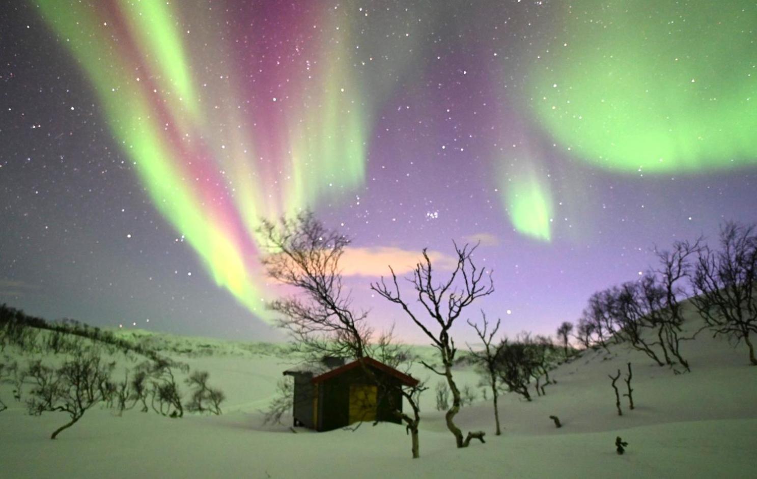 Atte Arstider Lodge Neiden Екстериор снимка